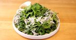 【NEW】釜揚げしらすとパクチーのサラダ